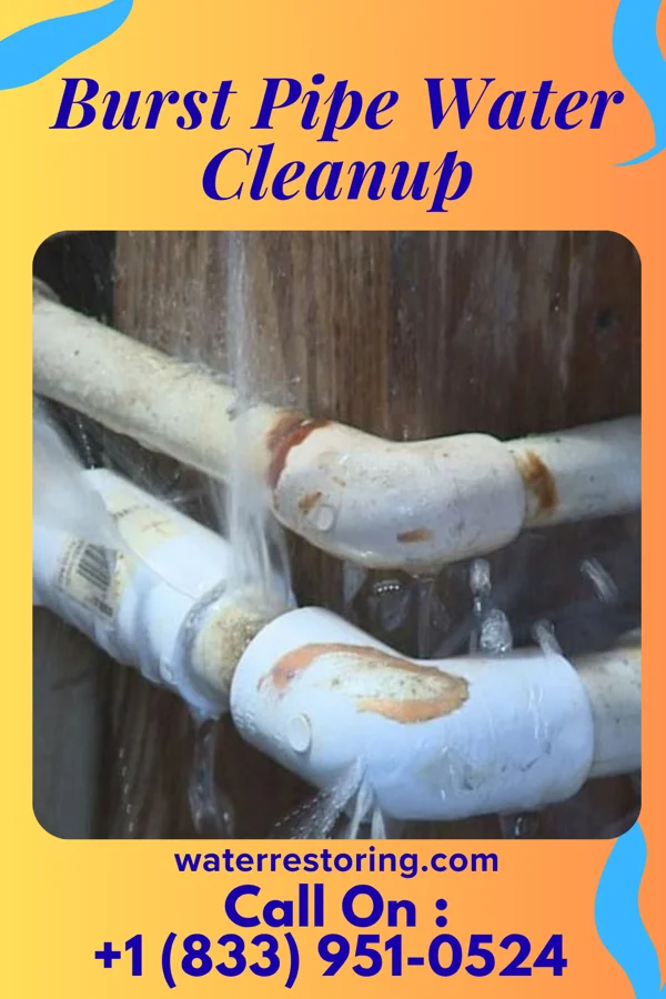 Burst Pipe Water Cleanup in Gate City, VA