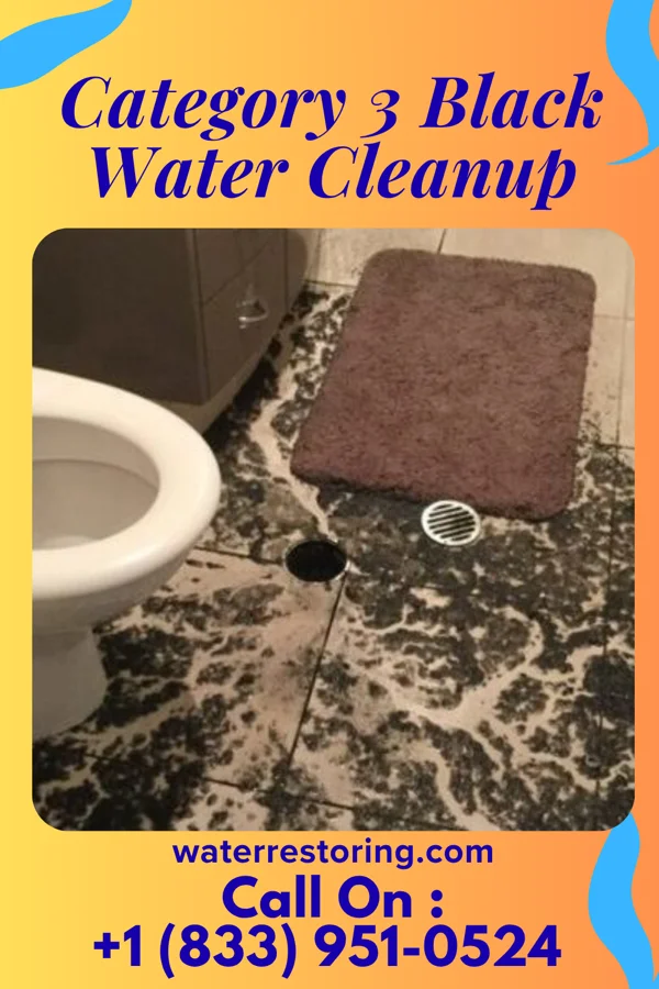 Category 3 Black Water Cleanup in Gate City, VA