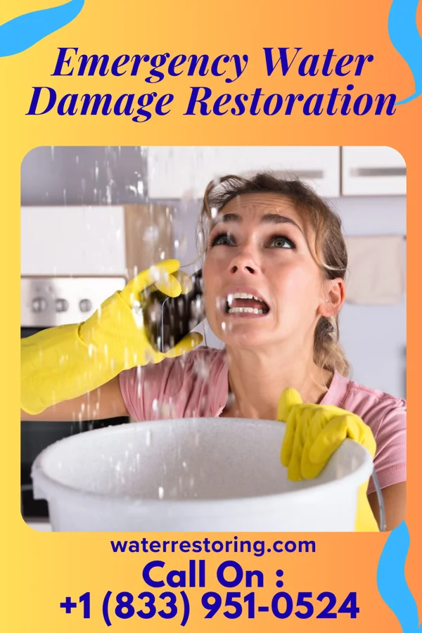 Emergency Water Damage Restoration in Gate City, VA