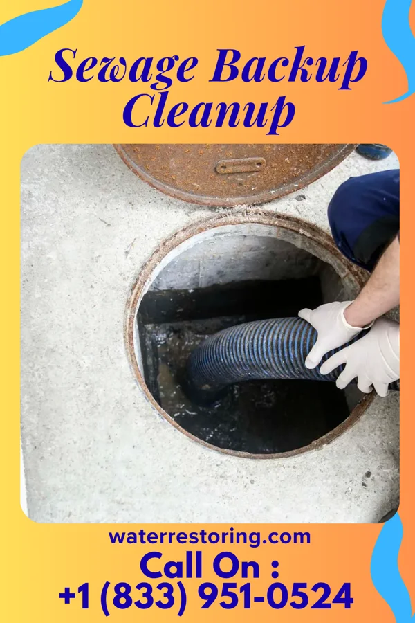 Sewage Backup Cleanup in Gate City, VA