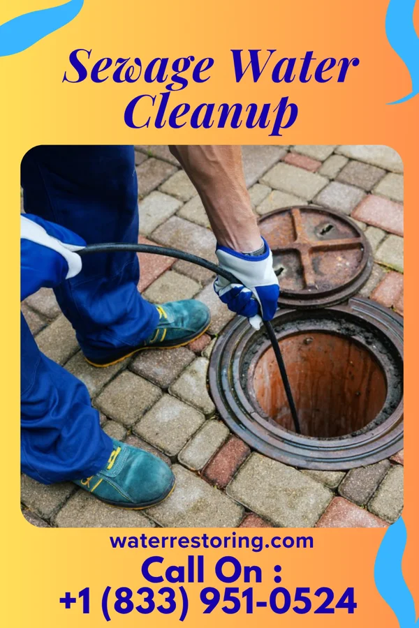 Sewage Water Cleanup in Gate City, VA