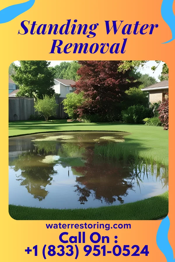 Standing Water Removal in Gate City, VA